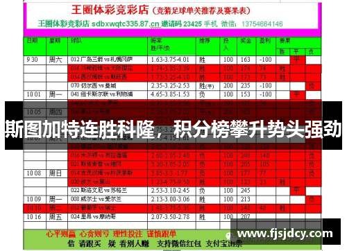 斯图加特连胜科隆，积分榜攀升势头强劲